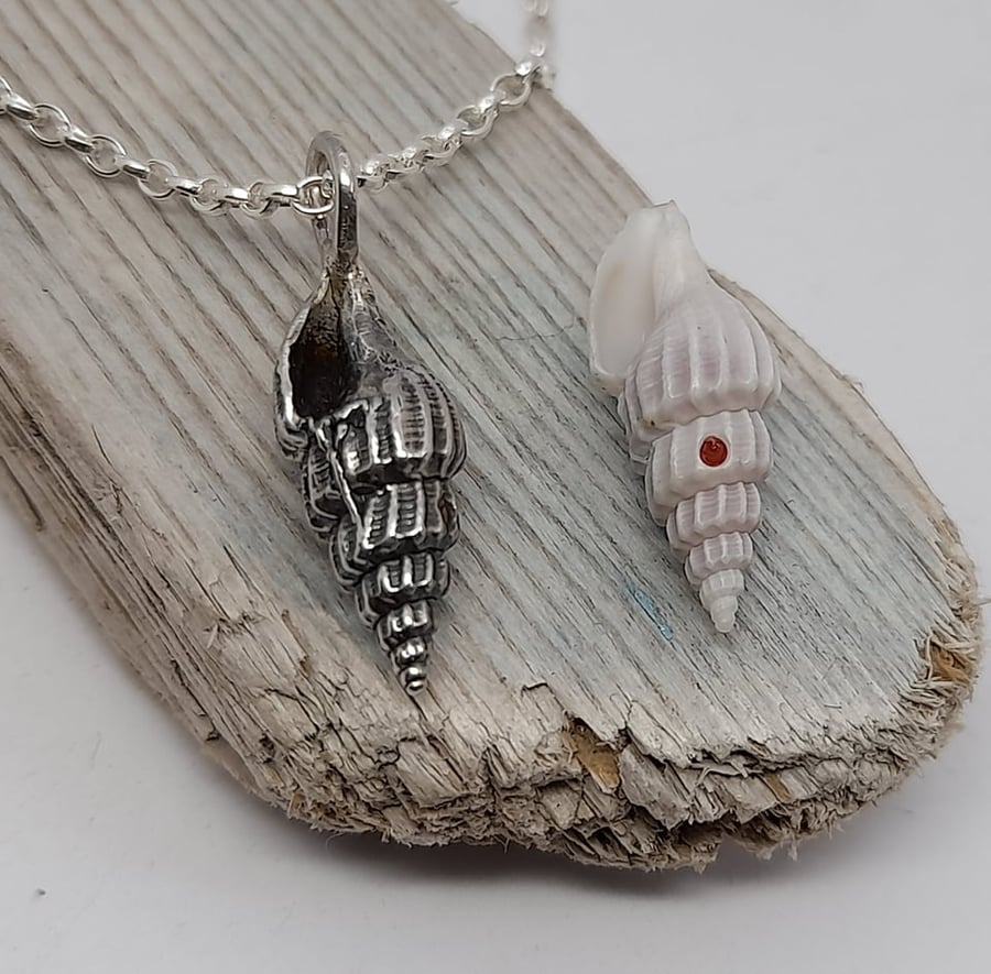 Turreted Conolet Shell Pendant
