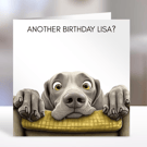 Weimaraner Birthday Card, Humorous Dog Lover Design (Customisable)
