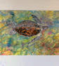 Original Watercolour 'Liquid Light' Hawksbill Turtle of Aldabra - Image 2