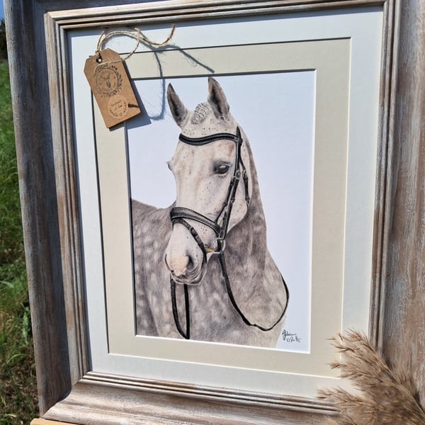 FRAMED EQUESTRIAN FINE ART HORSE DRAWING GILCEE PRINT 