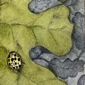 Seven Maples Art & Illustration