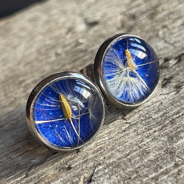 Real dandelion seed stainless steel stud earrings