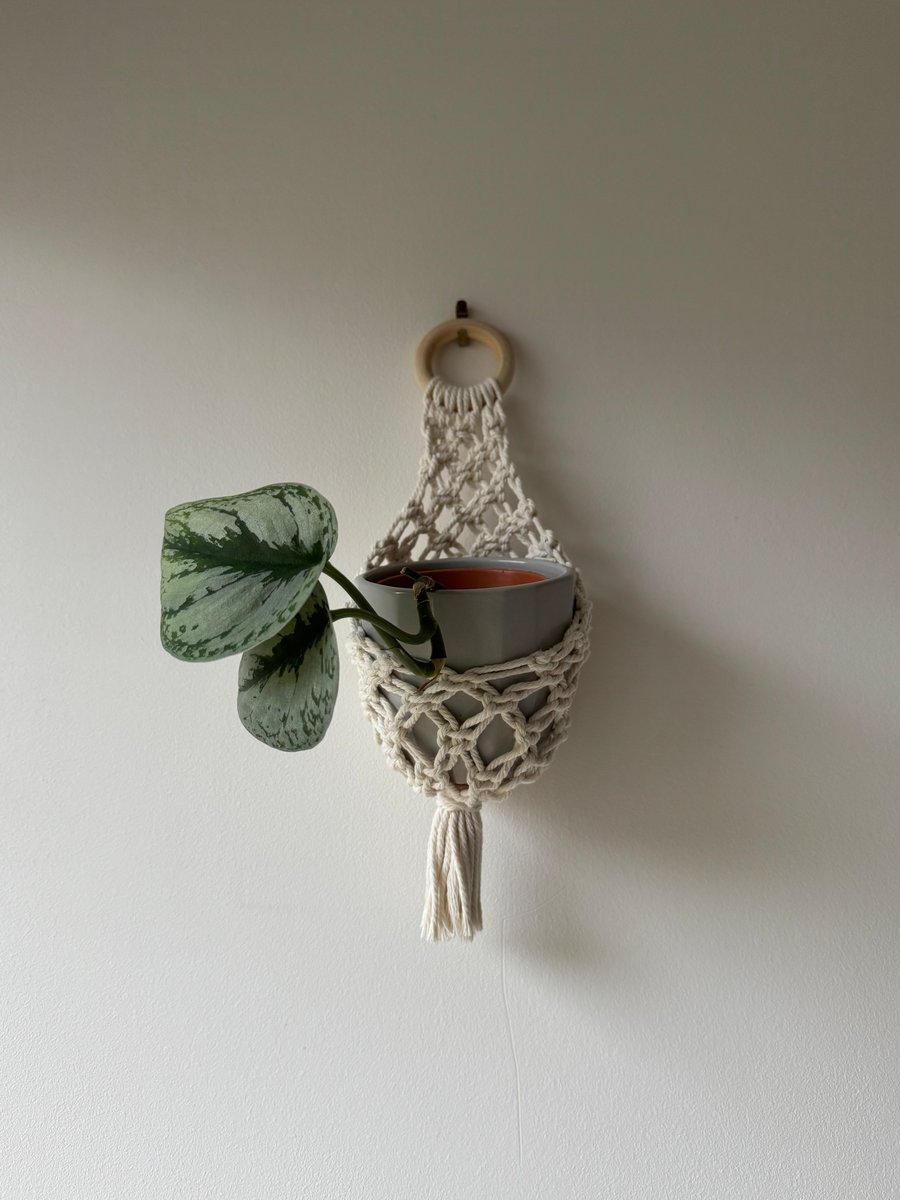 Handmade Macrame Plant Holder Basket