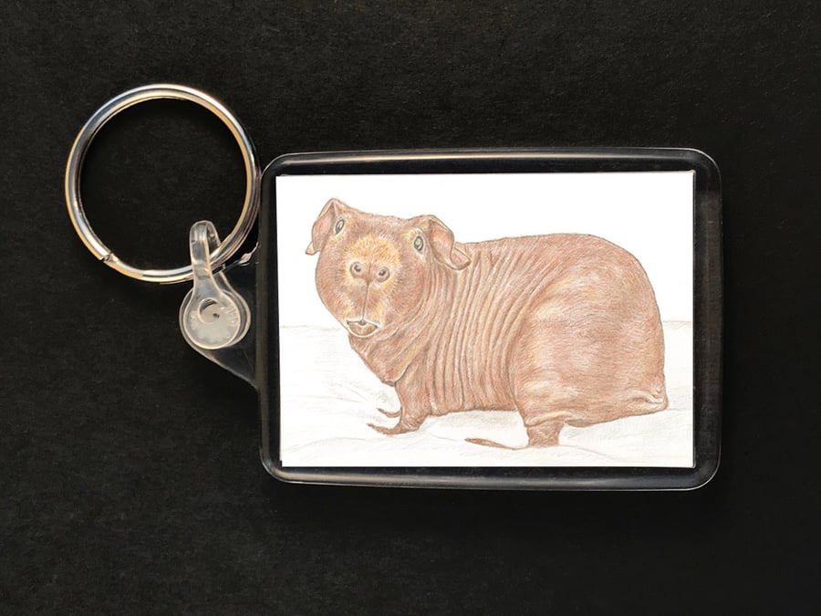 Dixon the Skinny Pig - Keyring