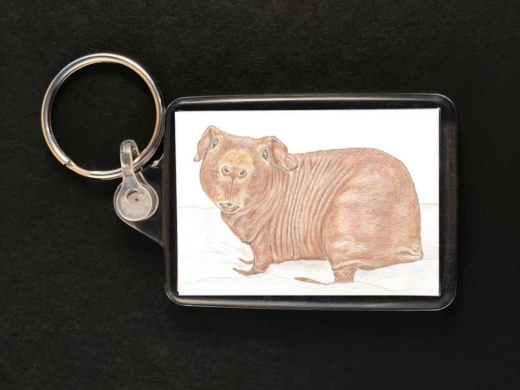 Dixon the Skinny Pig - Keyring