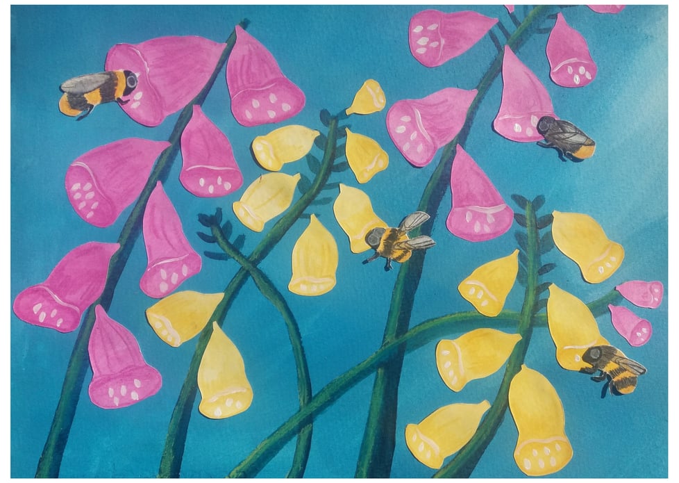 Nicola Ellen Illustration