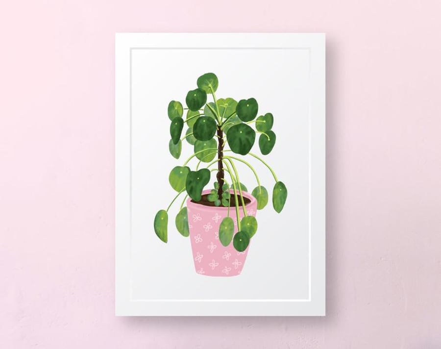 Chinese Money Plant, Art Print, Wall Art, Unframed Art Print, House Plants,