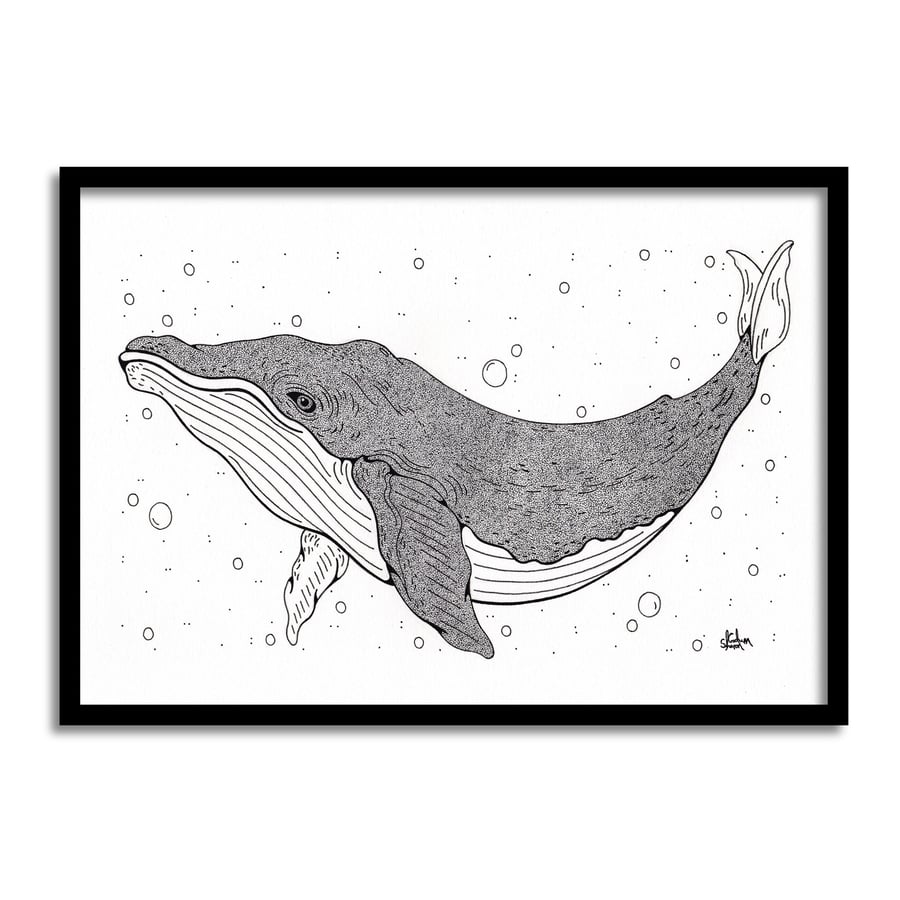 Humpback Whale A4 Original Art Pen And Ink Drawing