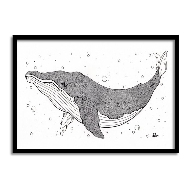 Humpback Whale A4 Original Art Pen And Ink Drawing