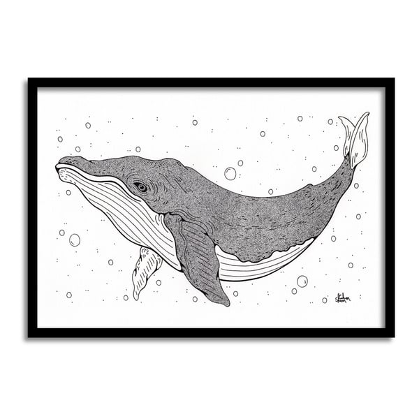 Humpback Whale A4 Original Art Pen And Ink Drawing