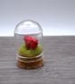 small glass bird cloche keepsake gift - Image 2