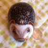Hand painted rock hedgehog 