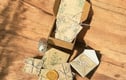 Vintage Finds - Botanical