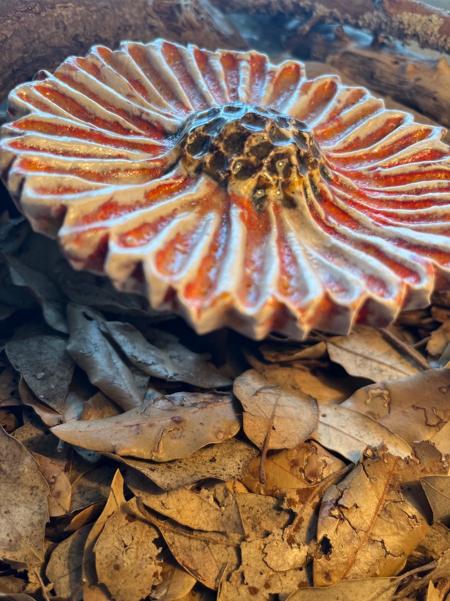 Sunflower ceramic glaze 