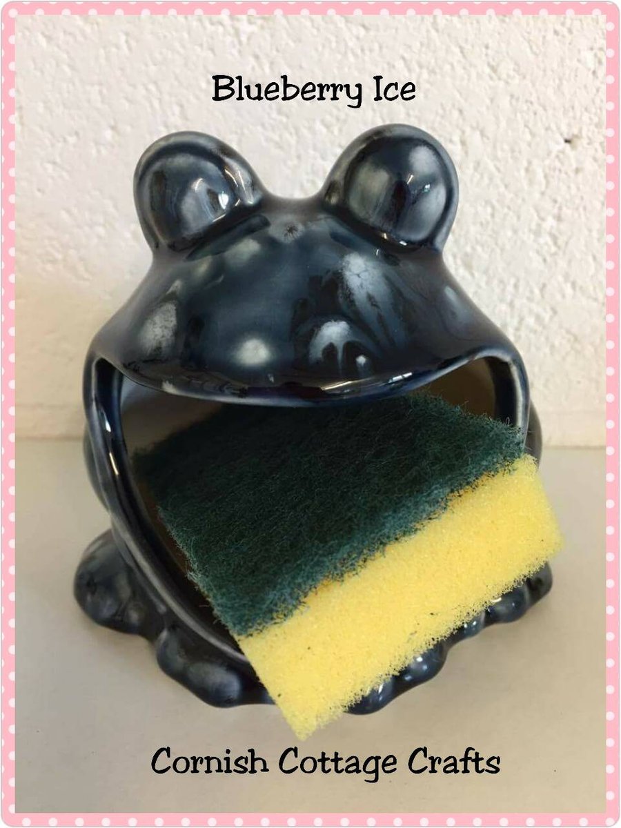 Frog sponge holder, kitchen decor, scrubby holder, soap holder housewarming gift