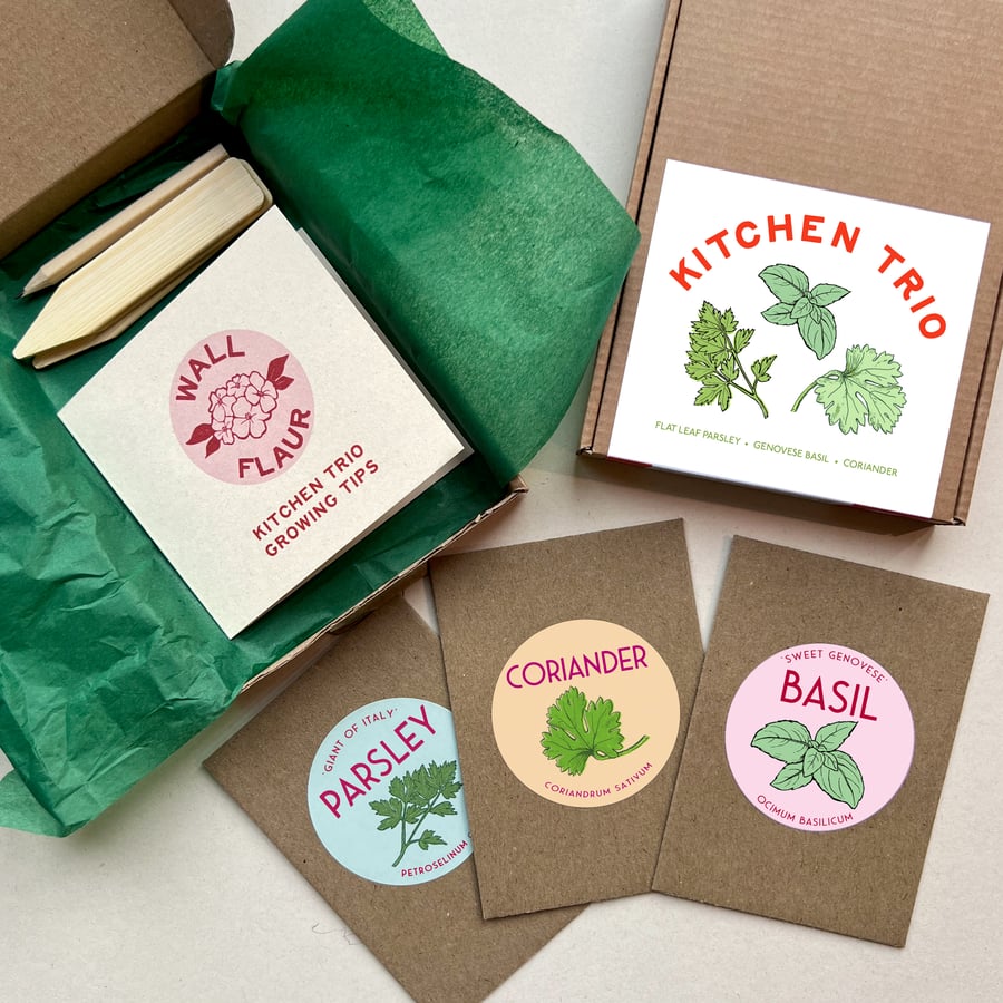 The Kitchen Herb Trio Seed Collection 