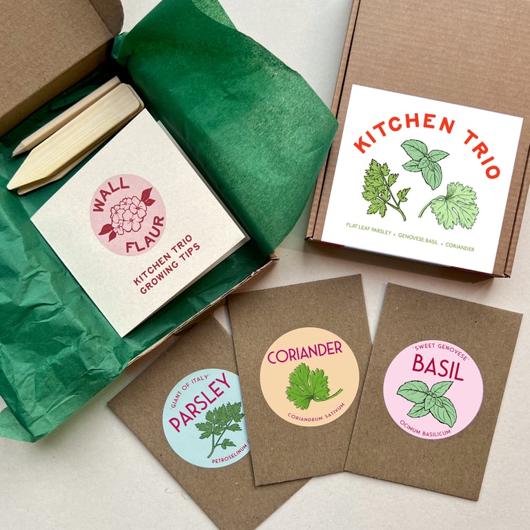 The Kitchen Herb Trio Seed Collection 