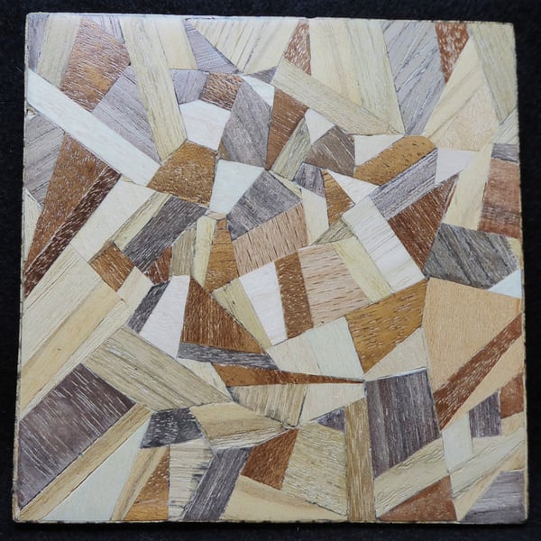 Wood veneer coaster