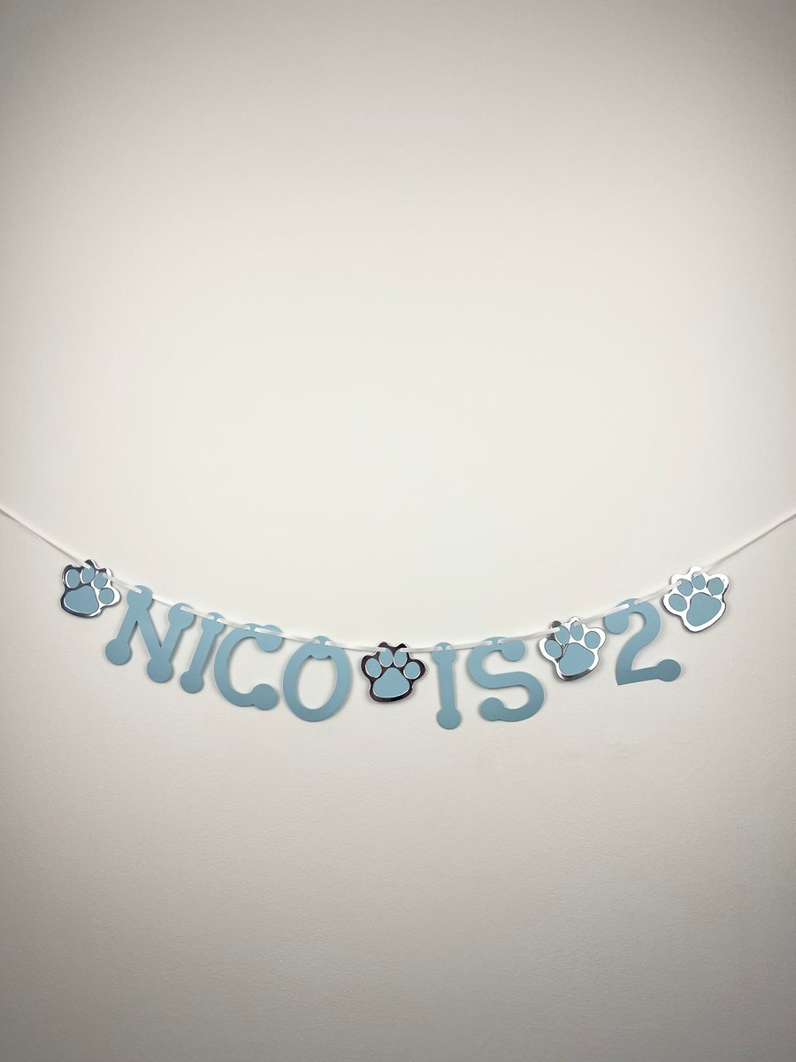 Dog Cat Custom Birthday Banner Party Bunting Blue & Silver