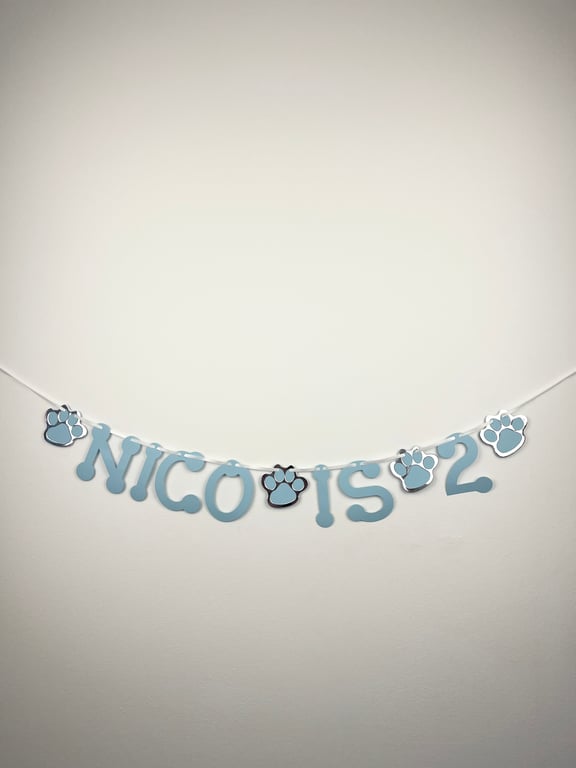 Dog Cat Custom Birthday Banner Party Bunting Blue & Silver