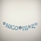 Dog Cat Custom Birthday Banner Party Bunting Blue & Silver