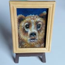 Balu the Browm Bear Miniature Oil Painting - Look to the Sky