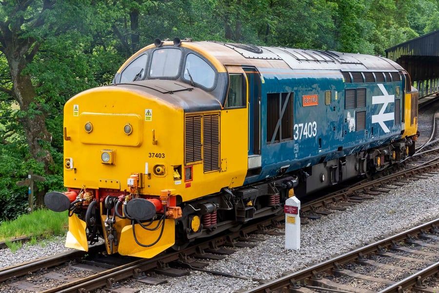 Isle of Mull locomotive 37403 print