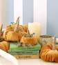 Orange Velvet Pumpkin - Image 3