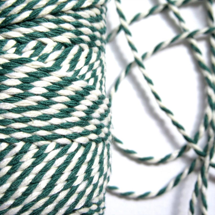 Green & White Twine - 5m