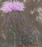 Plants for pollinators - Creeping Thistle - Cyanotype & stitch - Eco Textile Art - Image 5