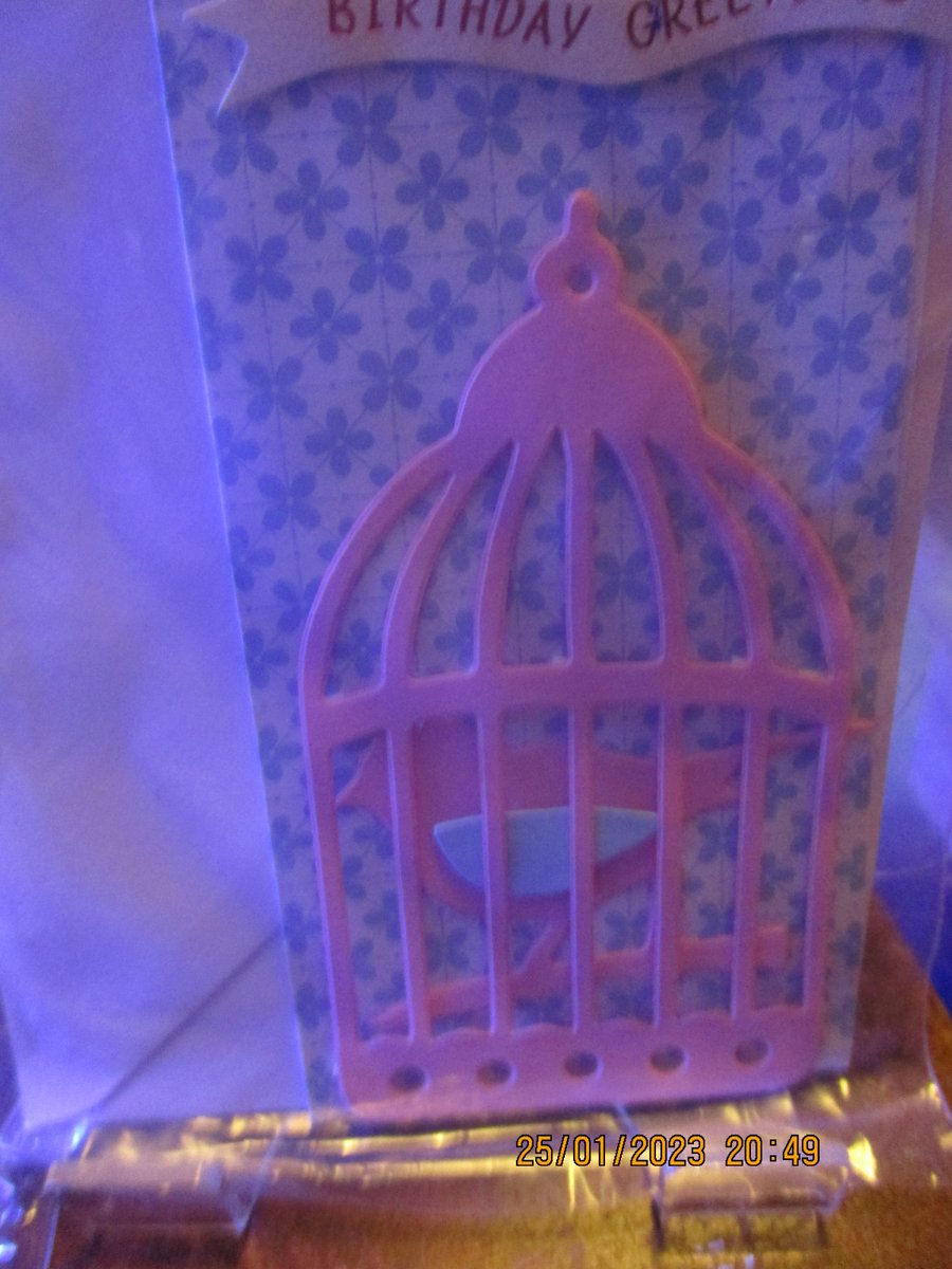 Birthday Greetings B ird in a Cage Card