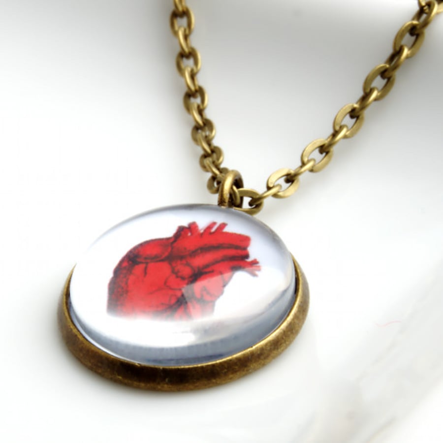 Red Anatomical Heart Pendant Necklace