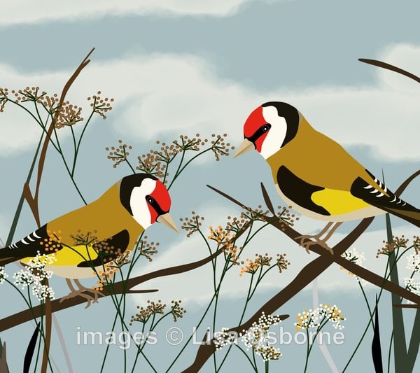 Goldfinches. Print from digital illustration. Garden birds.