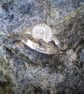 Ammonite ring size W - Image 6