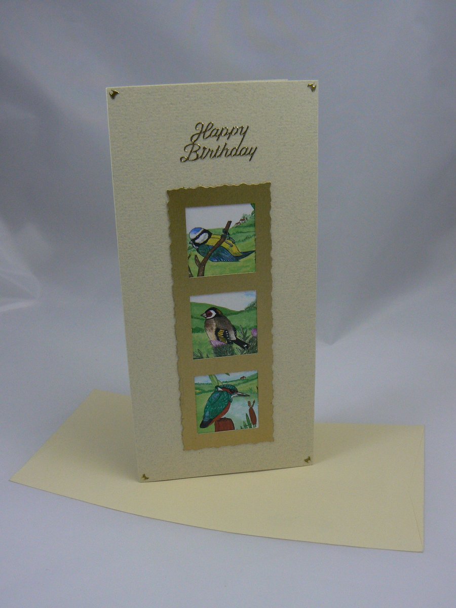 Blue tit, bullfinch, and kingfisher birthday card