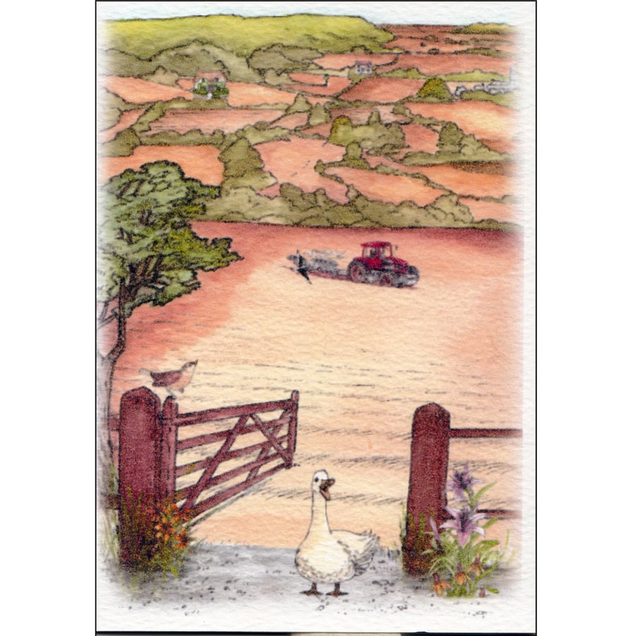 English Countryside in Summer (Gen96)