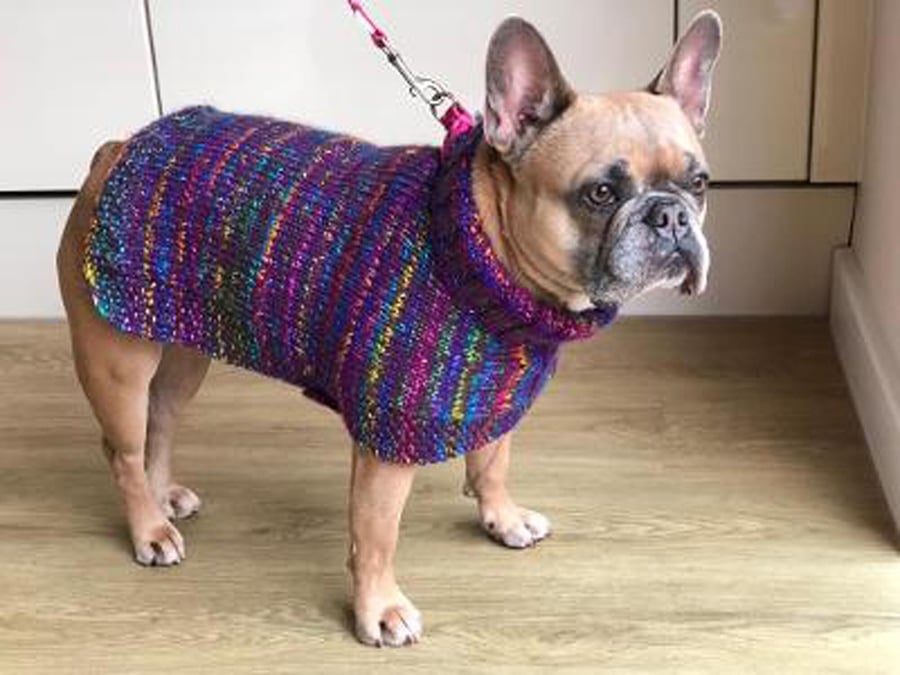 Large Dog Coat Knitted In Multi Colours With Wooden Buttons (R678)