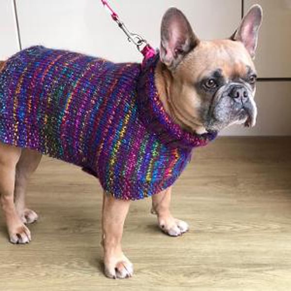 Large Dog Coat Knitted In Multi Colours With Wooden Buttons (R678)