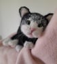 Tuxedo Kitten, Dotpebblesknits Design - Image 8
