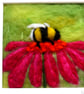 Original needle felted Busy Bee mounted art by Natalie - Image 2