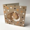 Guinea Pig Card