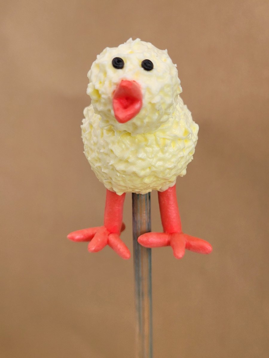 Surprised Chick House Plant Pot Ornament - Pot Pal 