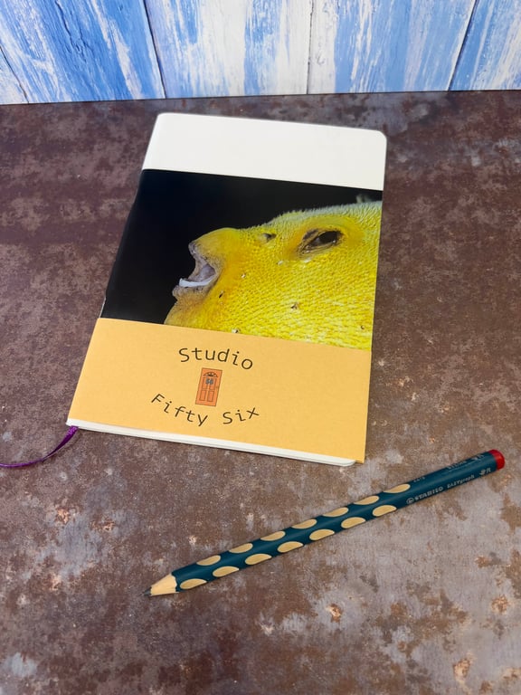 Notebook, Marine themed, A5 (ish), made from up-cycled and recycled materials.