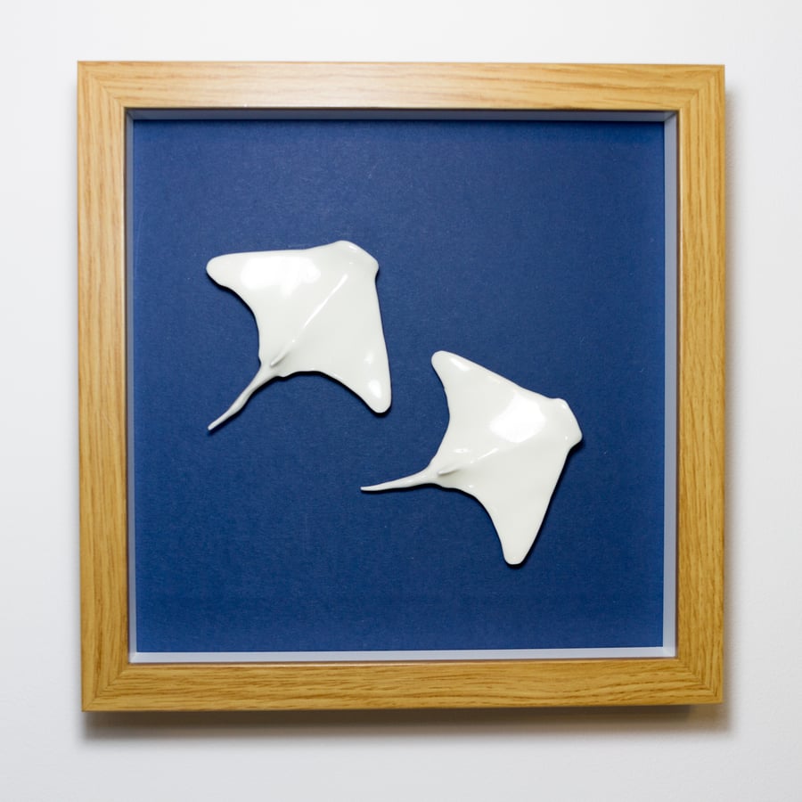 Porcelain Swimming Fish - Two Rays - Box Framed Picture