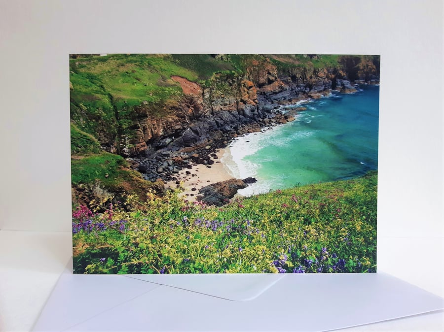 Cornish clifftop flowers - greeting card
