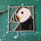 Puffin
