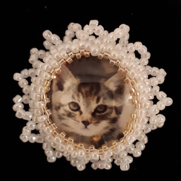 Tabby kitten brooch - pearly white