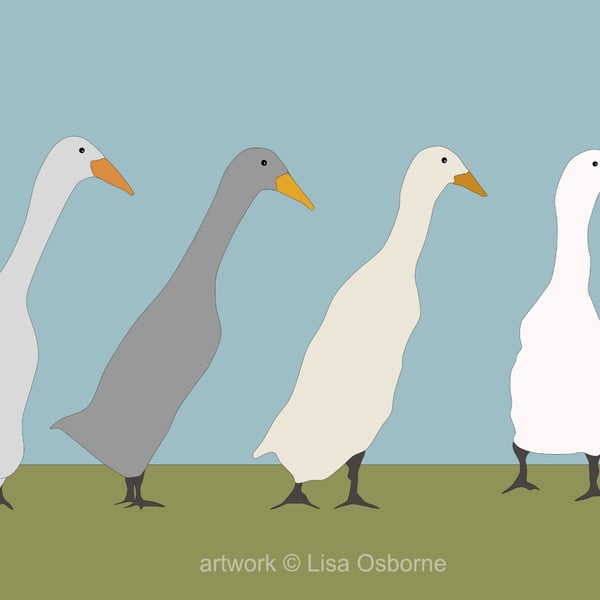 Runner ducks - art print - pets