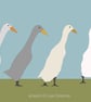 Runner ducks - art print - pets - Image 1