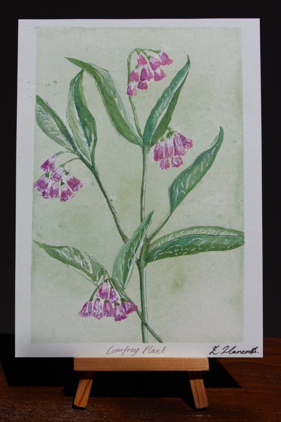 Comfrey Plant Watercolour Print A5
